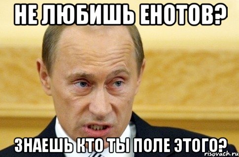 Не любишь енотов? Знаешь кто ты поле этого?, Мем путин