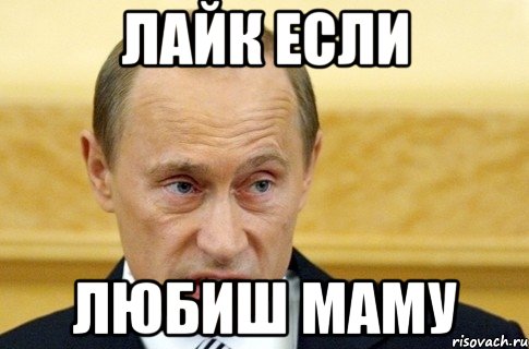 лайк если любиш маму, Мем путин