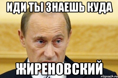 иди ты знаешь куда ЖИРЕНОВСКИЙ, Мем путин