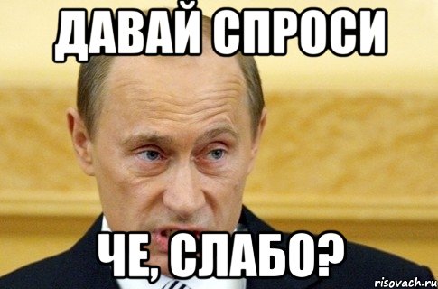 давай спроси че, слабо?, Мем путин