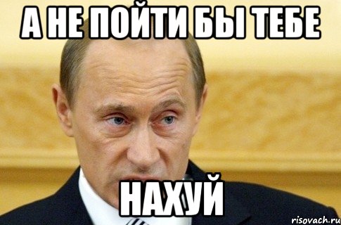 А не пойти бы тебе НАХУЙ, Мем путин