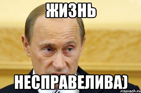 Жизнь Несправелива), Мем путин