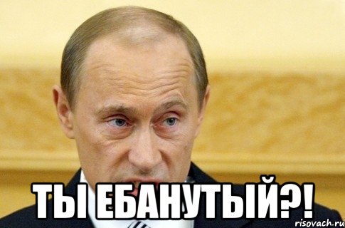  ты ебанутый?!, Мем путин