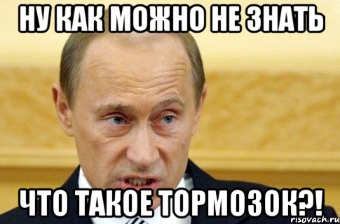 Ну как можно не знать что такое ТОРМОЗОК?!, Мем путин