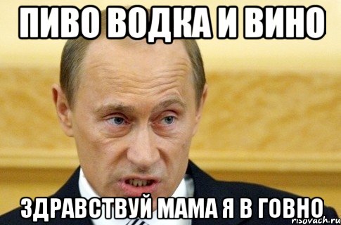 пиво водка и вино здравствуй мама я в говно, Мем путин