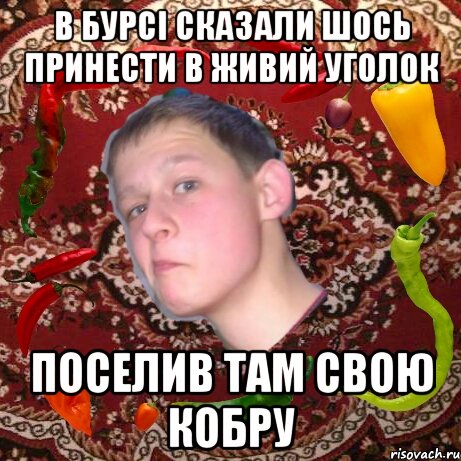 В бурсі сказали шось принести в живий уголок Поселив там свою кобру