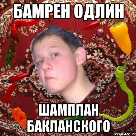 Бамрен одлин Шамплан бакланского
