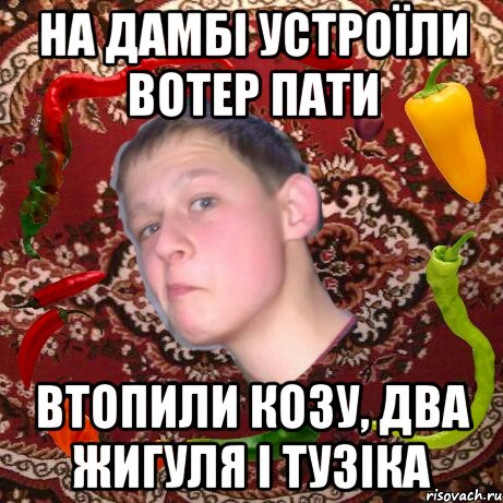 На дамбі устроїли вотер пати Втопили козу, два жигуля і тузіка