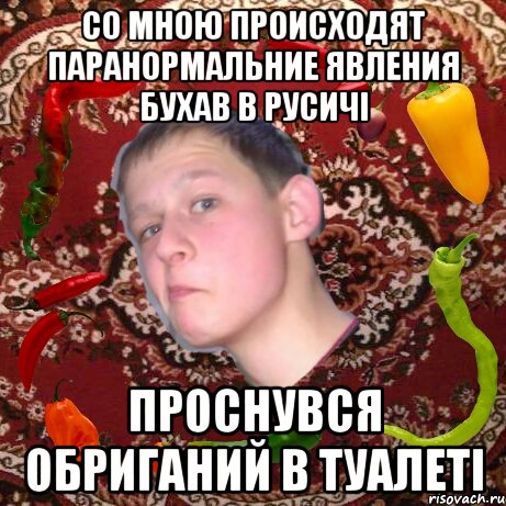 со мною происходят паранормальние явления бухав в русичі проснувся обриганий в туалеті