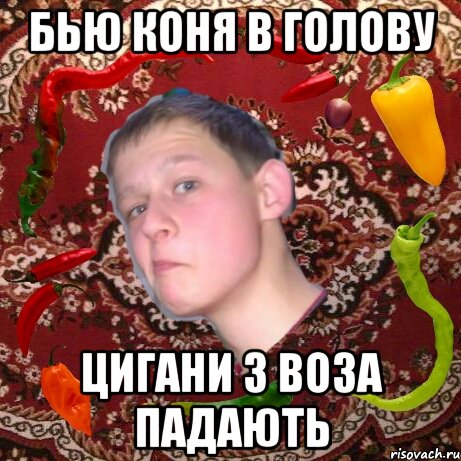 БЬЮ КОНЯ В ГОЛОВУ ЦИГАНИ З ВОЗА ПАДАЮТЬ