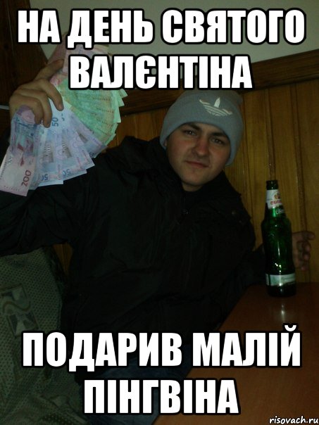 на день святого валєнтіна подарив малій пінгвіна