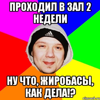 Проходил в зал 2 недели Ну что, жиробасы, как дела!?