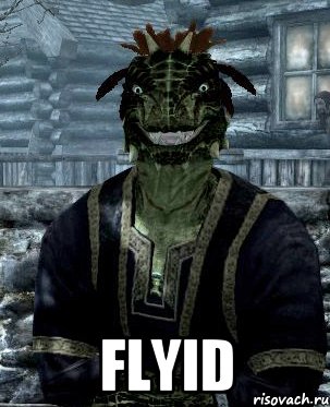  Flyid