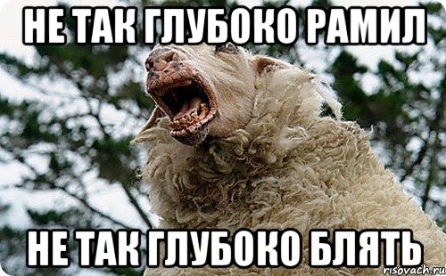 не так глубоко рамил не так глубоко блять