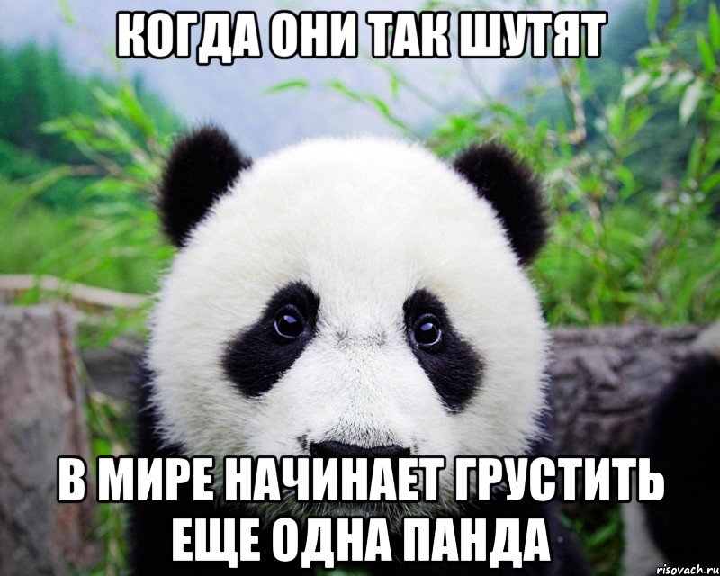 Когда они так шутят В мире начинает грустить еще одна панда