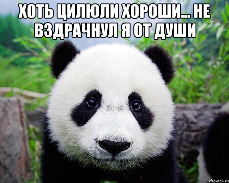 Хоть цилюли хороши... не вздрачнул Я от души 