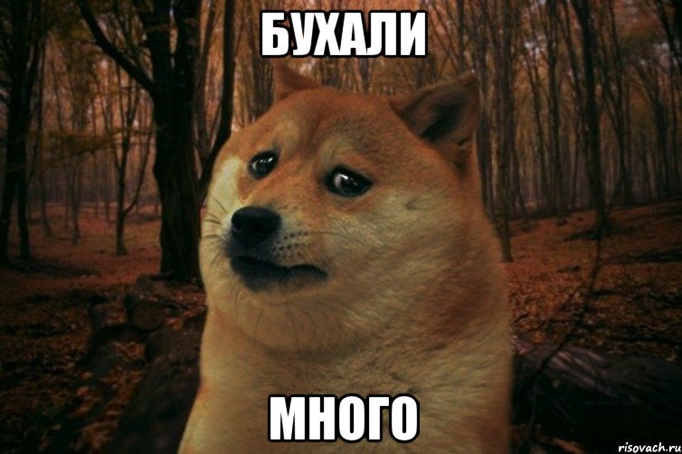 бухали много, Мем SAD DOGE