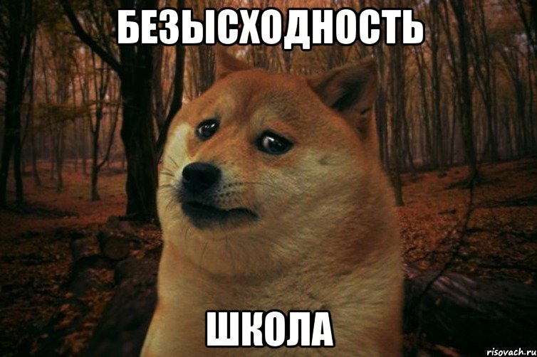 Безысходность Школа, Мем SAD DOGE