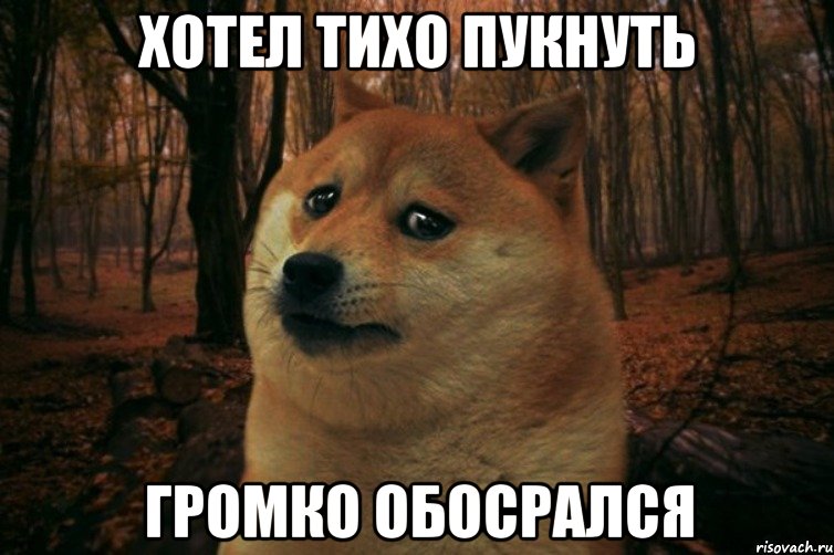 Хотел тихо пукнуть громко обосрался, Мем SAD DOGE