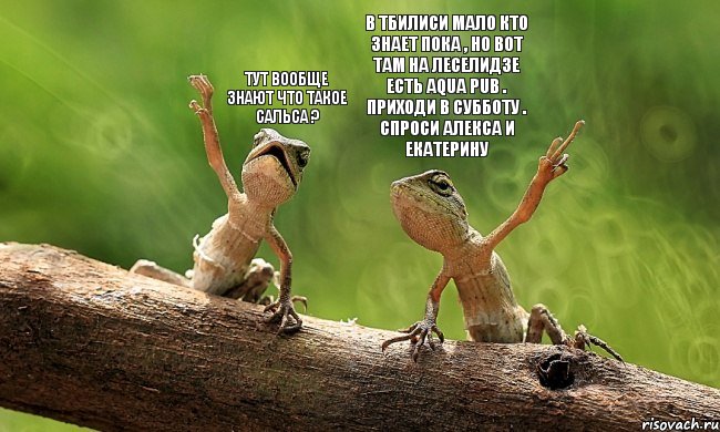 тут вообще знают что такое сальса ? в тбилиси мало кто знает пока , но вот там на леселидзе есть Aqua Pub . приходи в субботу . спроси Алекса и Екатерину, Комикс salsa