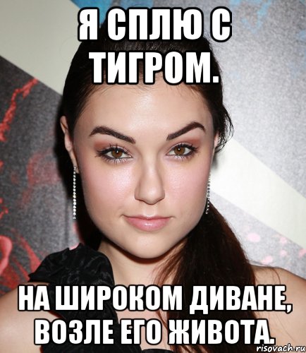 Я сплю с ТИГРОМ. На широком диване, возле его живота., Мем  Саша Грей улыбается