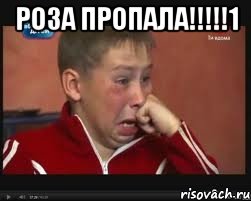 РОЗА ПРОПАЛА!!!!!1 , Мем  Сашок Фокин