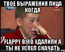 Твое выражения лица когда Flappy bird удалили а ты не успел скачать