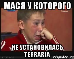 Мася у которого не установилась Terraria