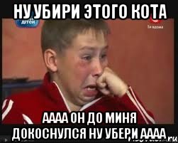 Ну убири этого кота аааа он до миня докоснулся ну убери аааа