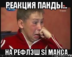 реакция панды... на рефлэш Si макса