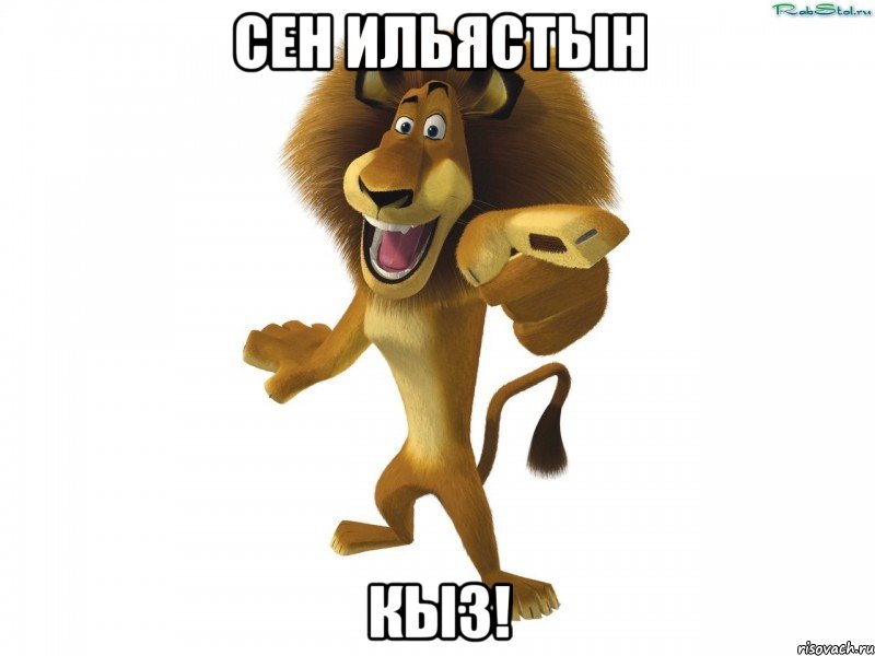 Сен Ильястын Кыз!, Мем Сен котен