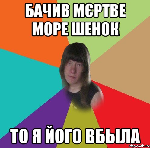 бачив мєртве море шенок то я його вбыла