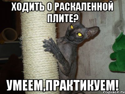 ходить о раскаленной плите? умеем,практикуем!