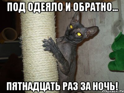 под одеяло и обратно... пятнадцать раз за ночь!