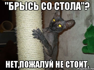 "брысь со стола"? нет,пожалуй не стоит.