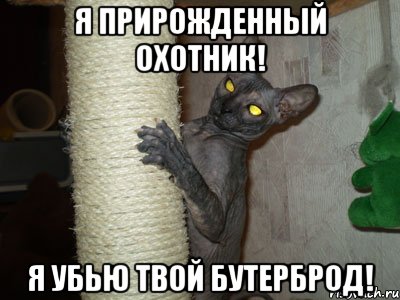 я прирожденный охотник! я убью твой бутерброд!