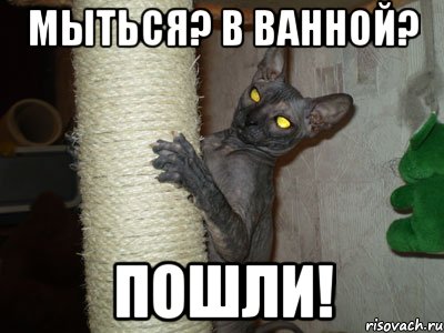 мыться? в ванной? пошли!