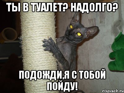 ты в туалет? надолго? подожди,я с тобой пойду!