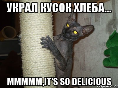 украл кусок хлеба... ммммм,it's so delicious, Мем сфинкс
