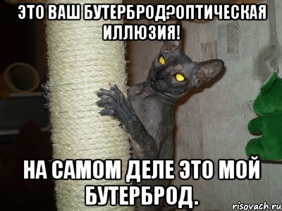 это ваш бутерброд?оптическая иллюзия! на самом деле это мой бутерброд., Мем сфинкс