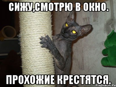 сижу,смотрю в окно. прохожие крестятся.