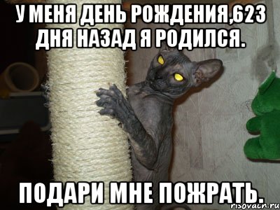 у меня день рождения,623 дня назад я родился. подари мне пожрать.