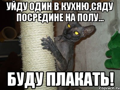 уйду один в кухню,сяду посредине на полу... буду плакать!