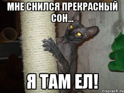 мне снился прекрасный сон... я там ел!
