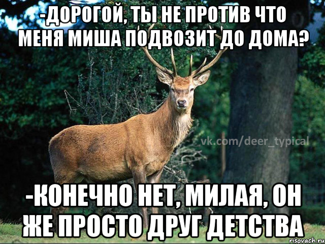 -Дорогой, ты не против что меня Миша подвозит до дома? -Конечно нет, милая, он же просто друг детства, Мем Паблик Типичный олень