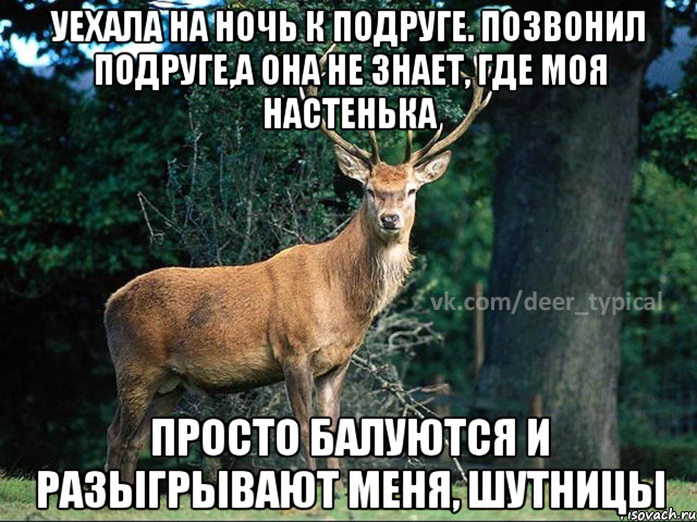 УЕХАЛА НА НОЧЬ К ПОДРУГЕ. ПОЗВОНИЛ ПОДРУГЕ,А ОНА НЕ ЗНАЕТ, ГДЕ МОЯ НАСТЕНЬКА ПРОСТО БАЛУЮТСЯ И РАЗЫГРЫВАЮТ МЕНЯ, ШУТНИЦЫ, Мем Паблик Типичный олень