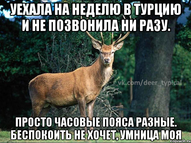 УЕХАЛА НА НЕДЕЛЮ В ТУРЦИЮ И НЕ ПОЗВОНИЛА НИ РАЗУ. ПРОСТО ЧАСОВЫЕ ПОЯСА РАЗНЫЕ. БЕСПОКОИТЬ НЕ ХОЧЕТ, УМНИЦА МОЯ, Мем Паблик Типичный олень