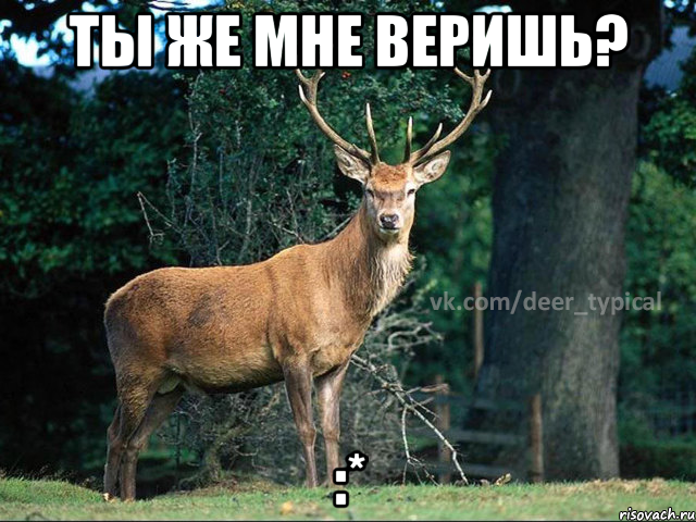 Ты же мне веришь? :*