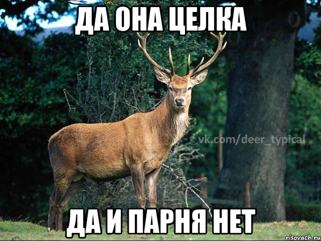 Да она целка Да и парня нет