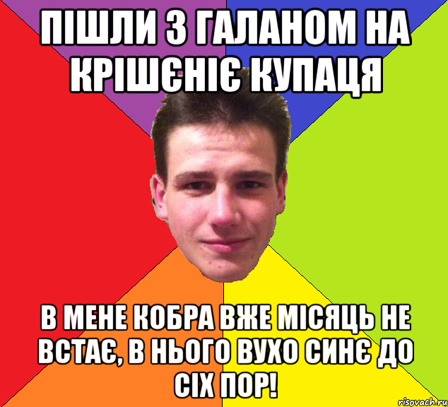 пішли з галаном на крішєніє купаця в мене кобра вже місяць не встає, в нього вухо синє до сіх пор!